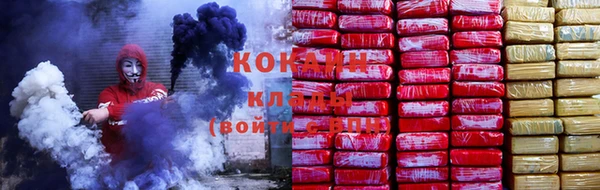крисы Алексин