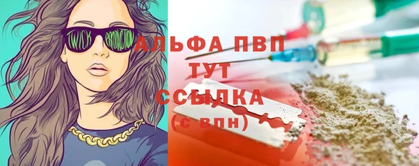 дмт Алзамай