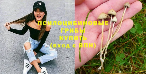 дмт Алзамай