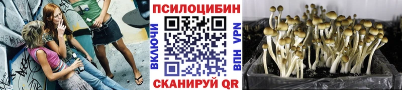 KRAKEN маркетплейс  Бахчисарай  Псилоцибиновые грибы мухоморы 
