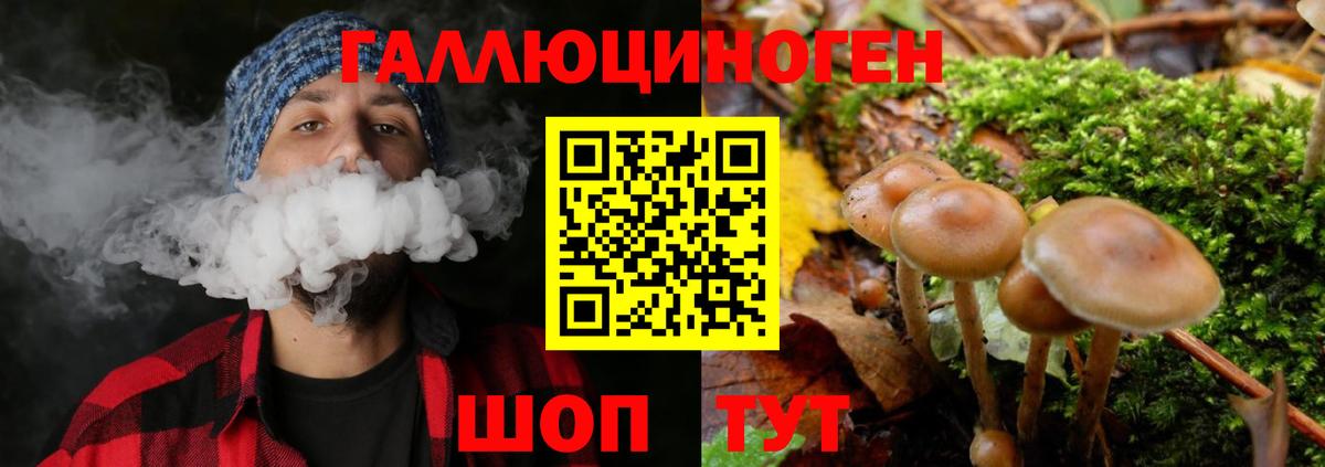 Галлюциногенные грибы MAGIC MUSHROOMS Бахчисарай