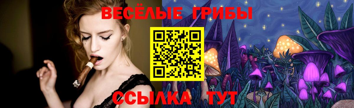 Псилоцибиновые грибы MAGIC MUSHROOMS  Вход с VPN  как найти   Бахчисарай 